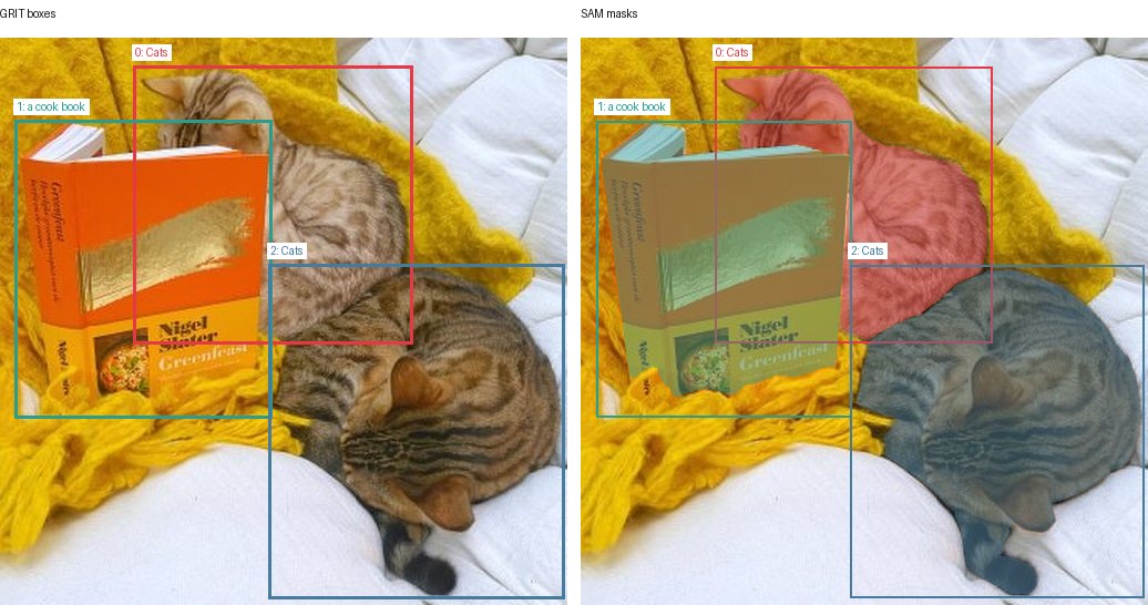 GRIT boxes and SAM masks