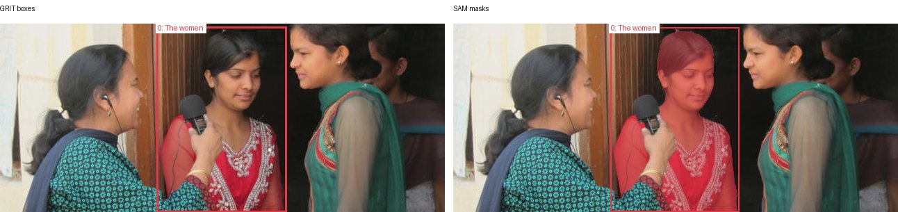 GRIT boxes and SAM masks