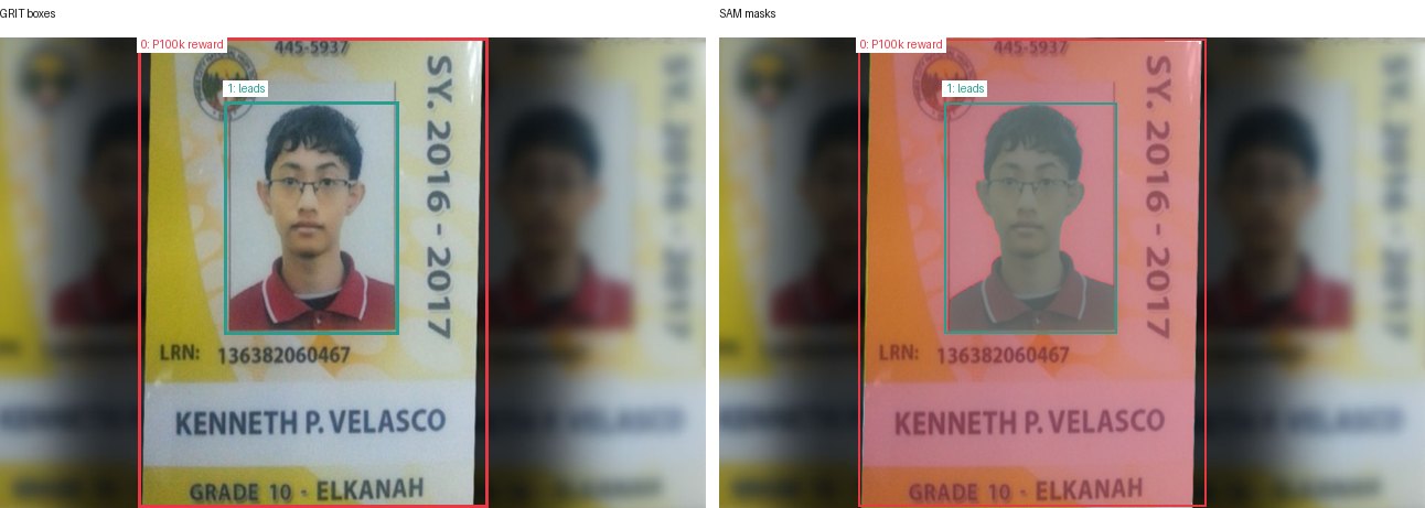 GRIT boxes and SAM masks