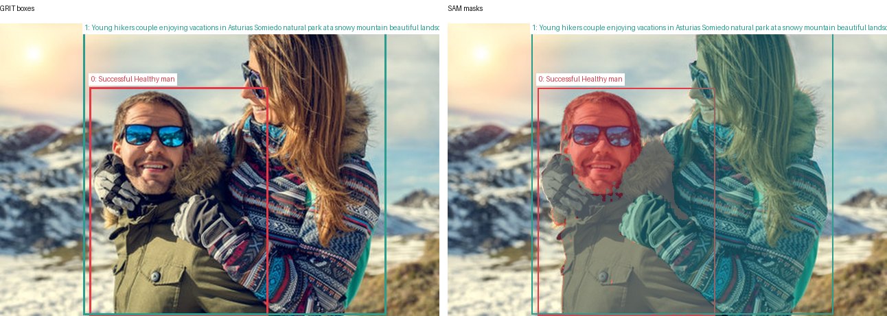 GRIT boxes and SAM masks