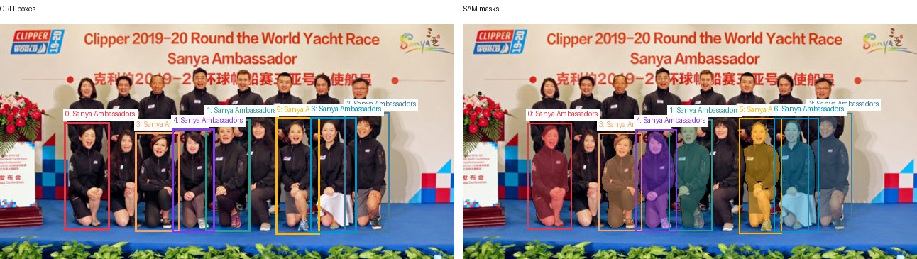 GRIT boxes and SAM masks