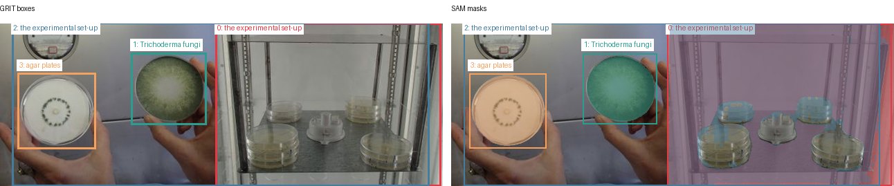 GRIT boxes and SAM masks