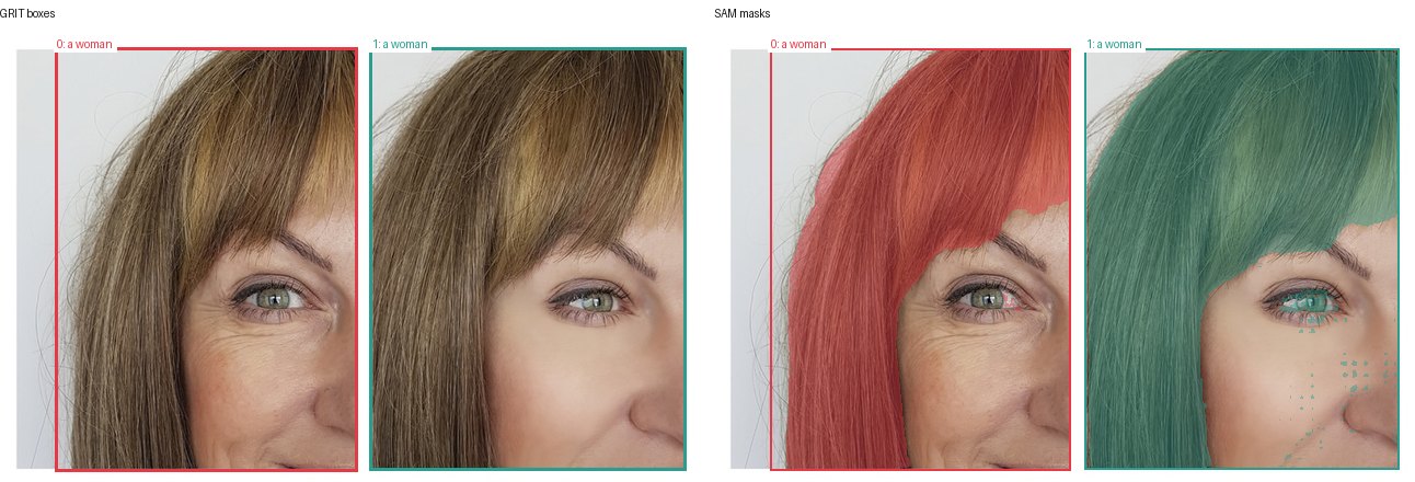 GRIT boxes and SAM masks