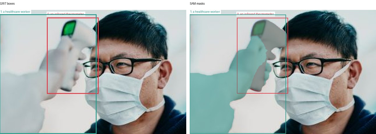 GRIT boxes and SAM masks