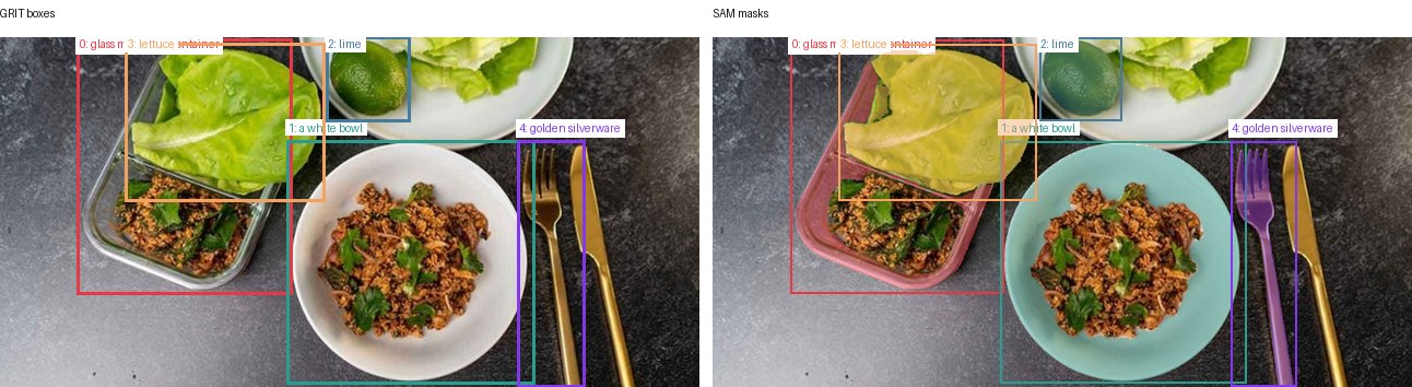 GRIT boxes and SAM masks