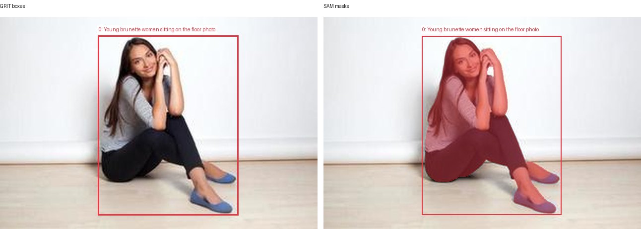 GRIT boxes and SAM masks