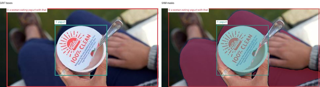 GRIT boxes and SAM masks