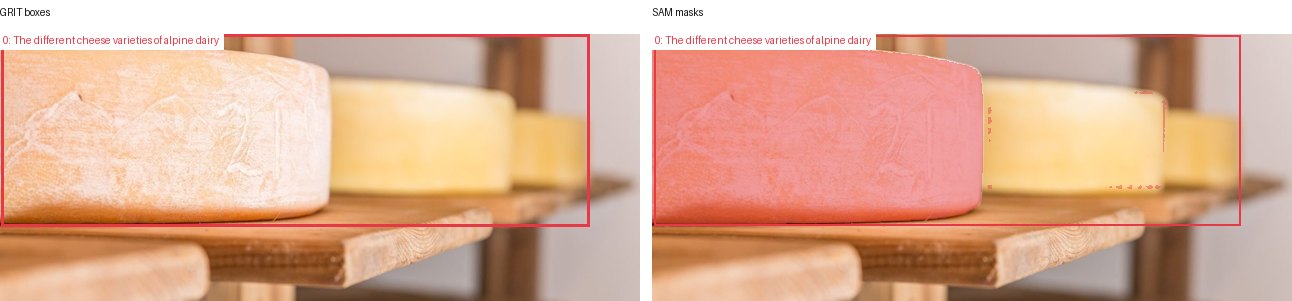 GRIT boxes and SAM masks