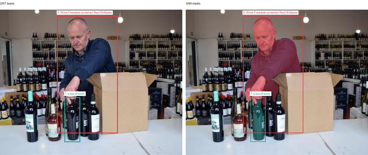 GRIT boxes and SAM masks
