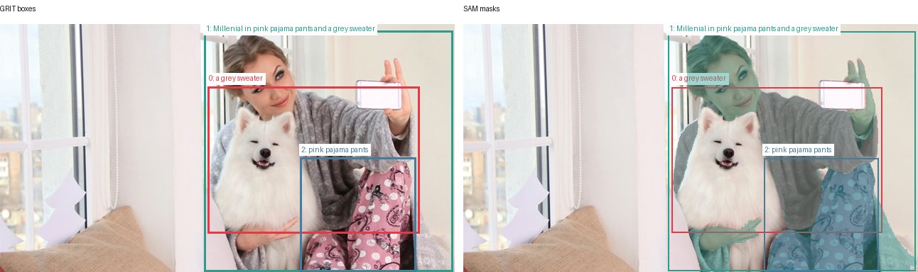 GRIT boxes and SAM masks
