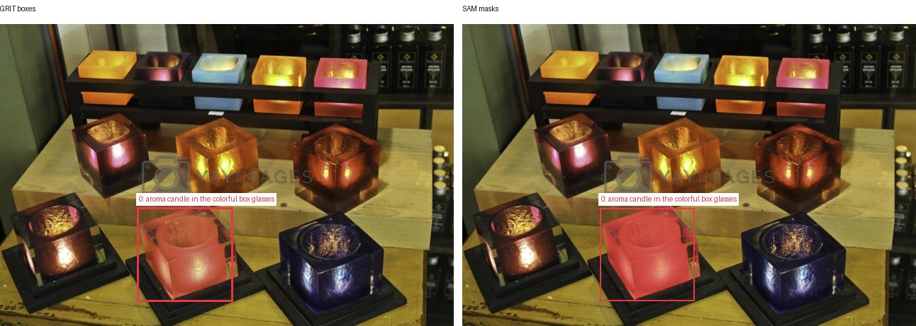 GRIT boxes and SAM masks