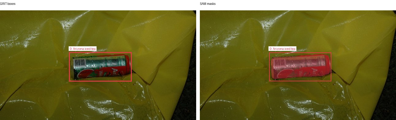 GRIT boxes and SAM masks