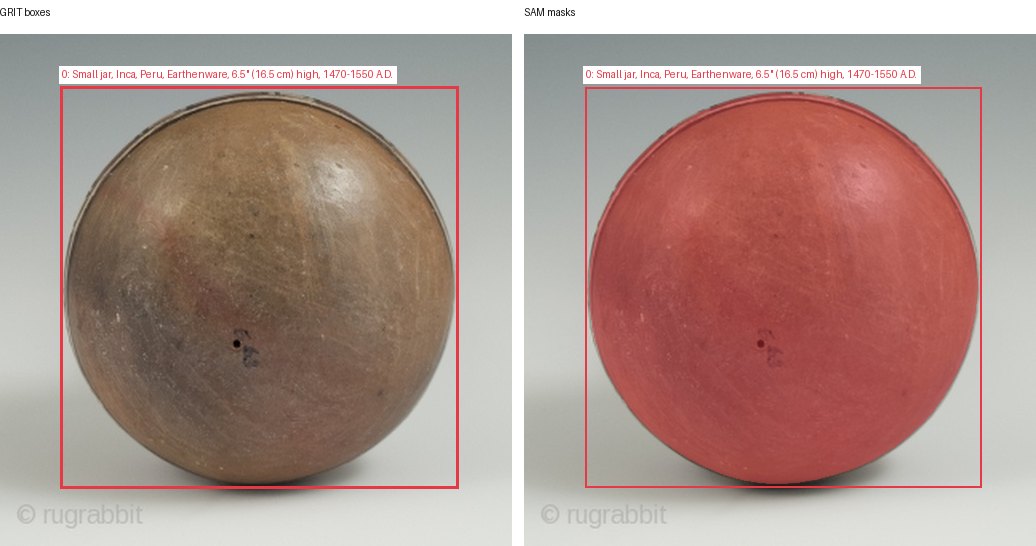 GRIT boxes and SAM masks