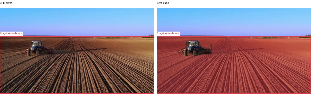 GRIT boxes and SAM masks