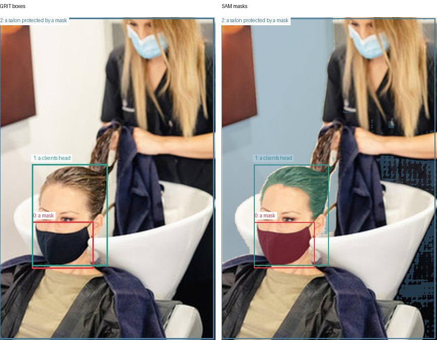 GRIT boxes and SAM masks
