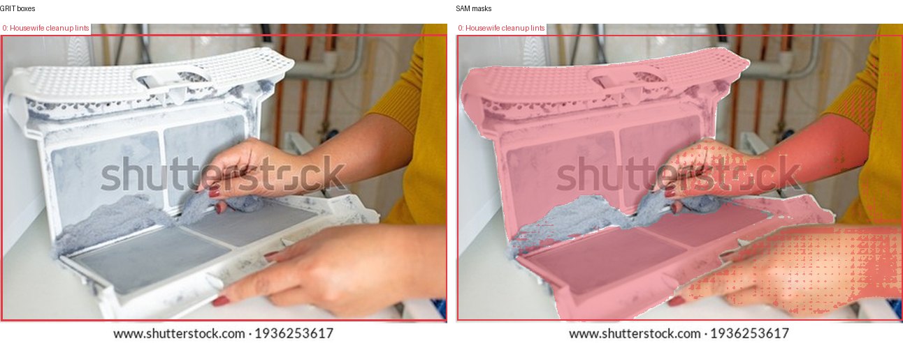 GRIT boxes and SAM masks