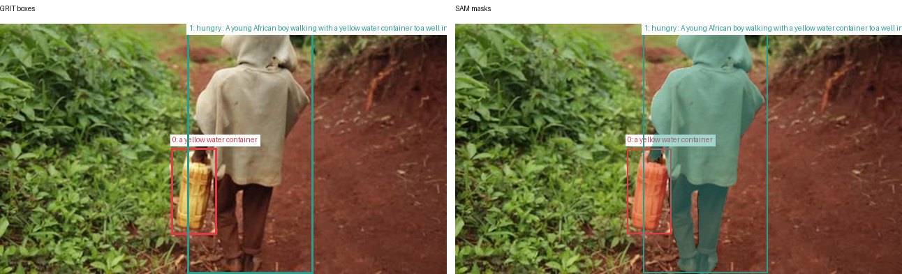 GRIT boxes and SAM masks