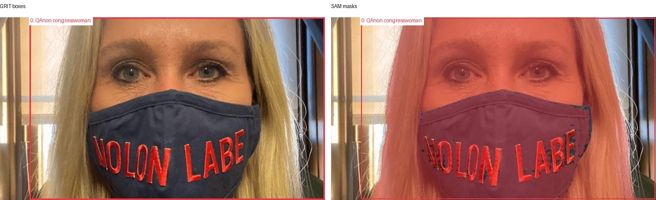 GRIT boxes and SAM masks