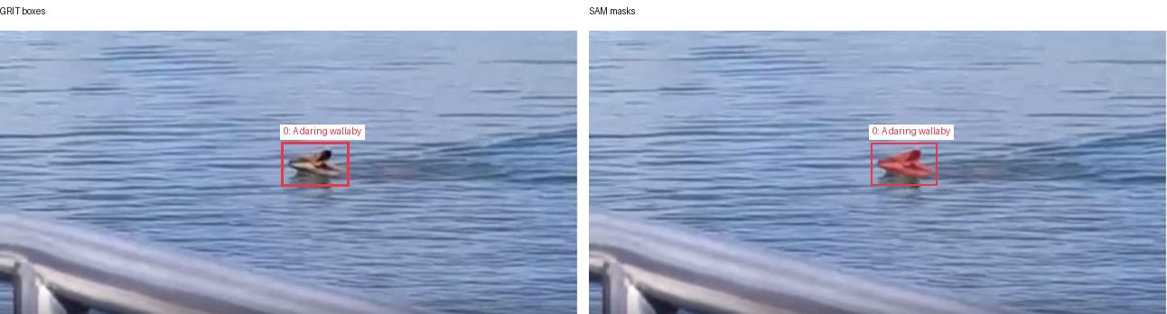 GRIT boxes and SAM masks