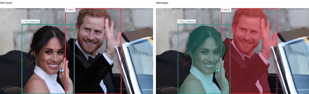 GRIT boxes and SAM masks