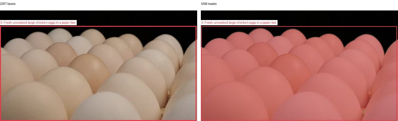 GRIT boxes and SAM masks