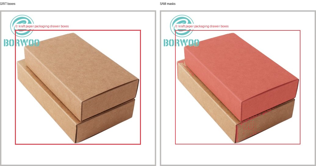 GRIT boxes and SAM masks
