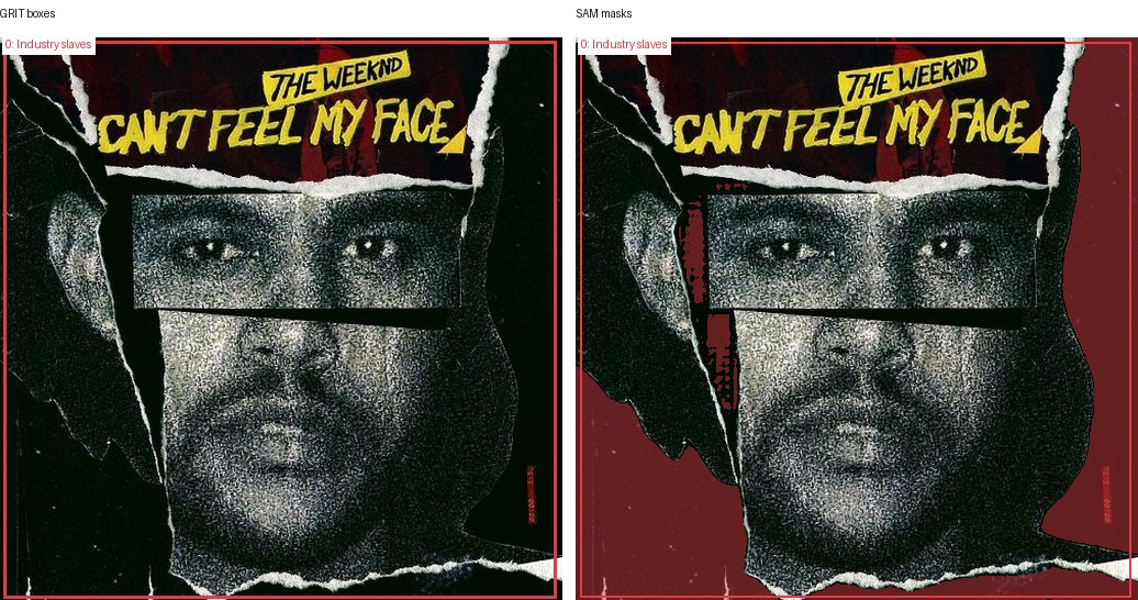 GRIT boxes and SAM masks