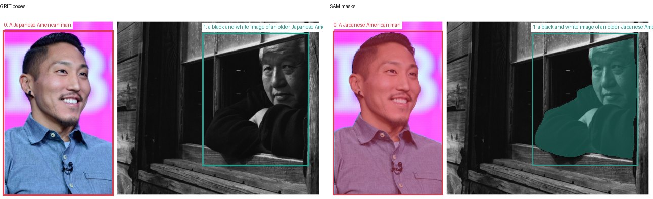 GRIT boxes and SAM masks