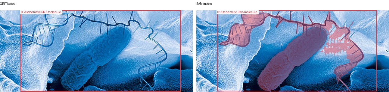 GRIT boxes and SAM masks