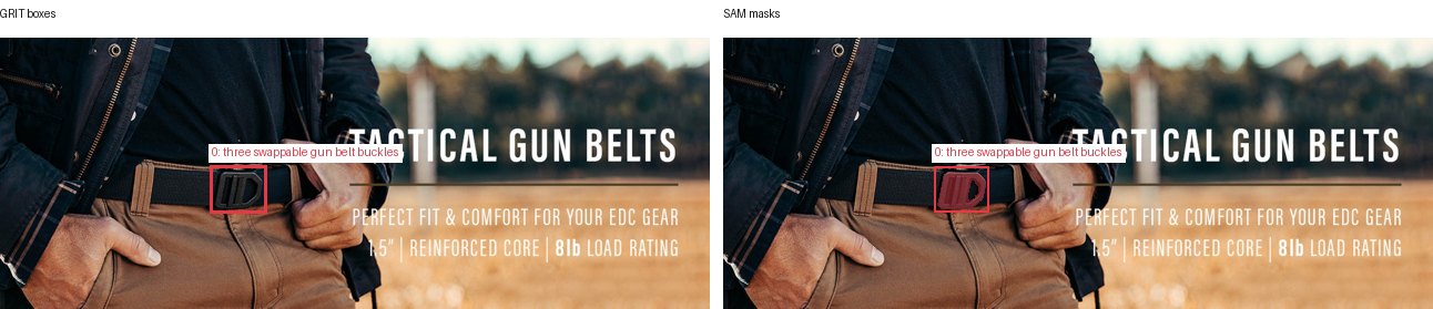GRIT boxes and SAM masks