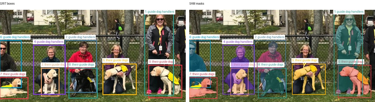 GRIT boxes and SAM masks