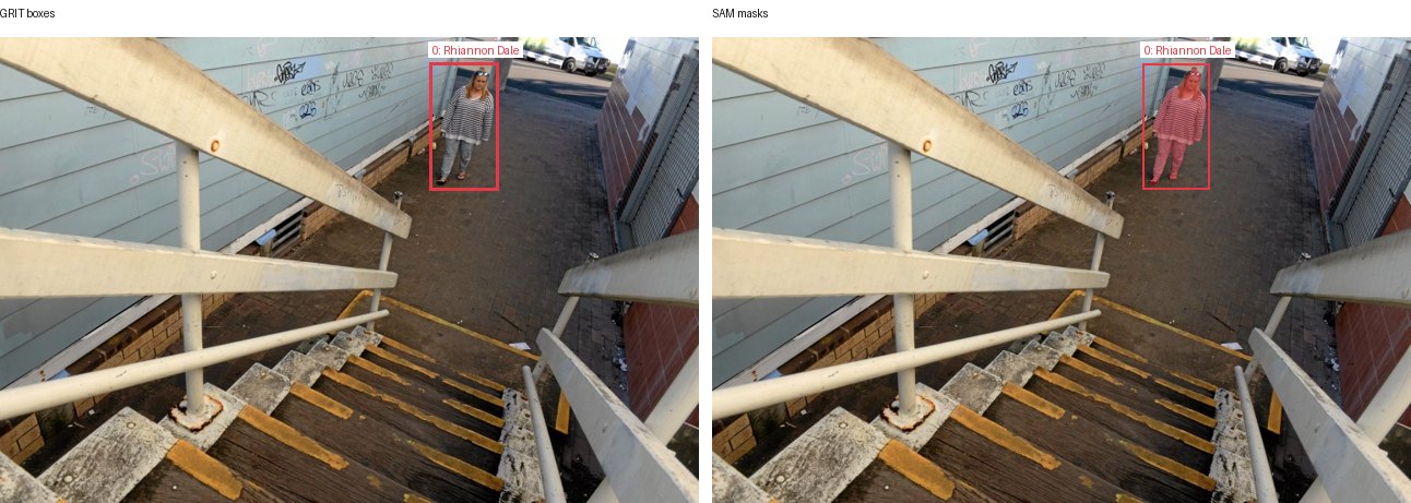 GRIT boxes and SAM masks