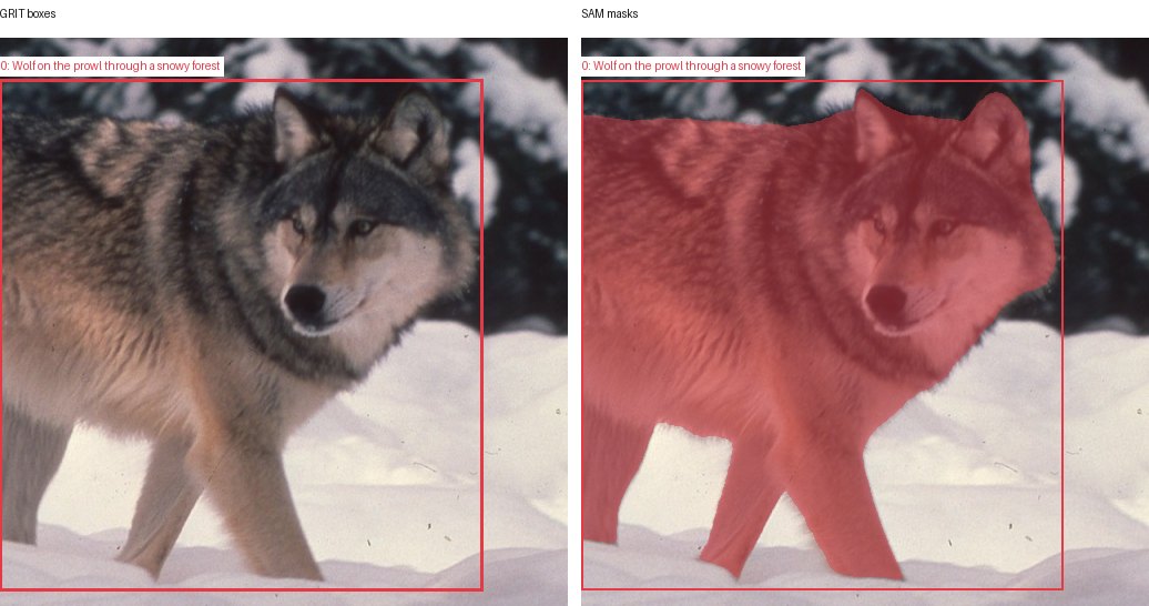 GRIT boxes and SAM masks