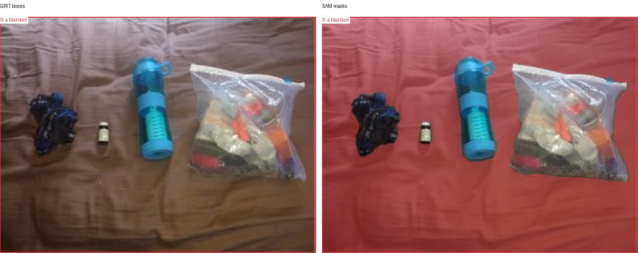 GRIT boxes and SAM masks