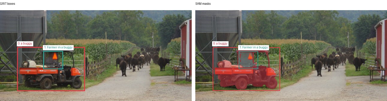 GRIT boxes and SAM masks