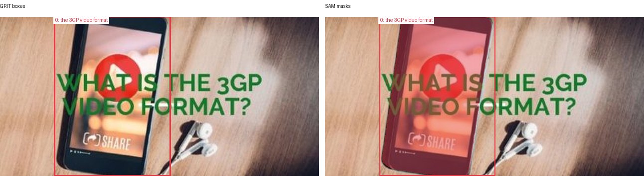 GRIT boxes and SAM masks