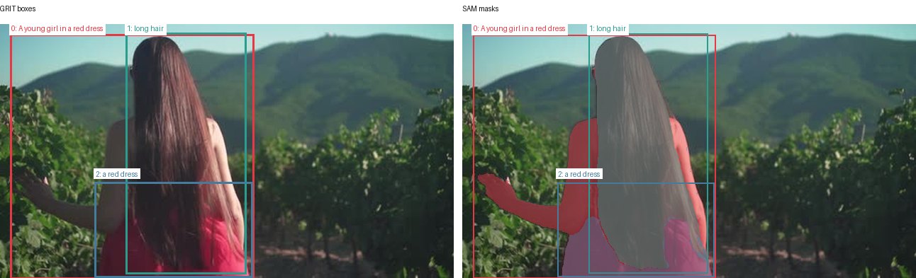 GRIT boxes and SAM masks
