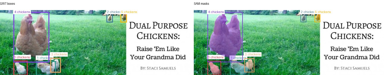 GRIT boxes and SAM masks