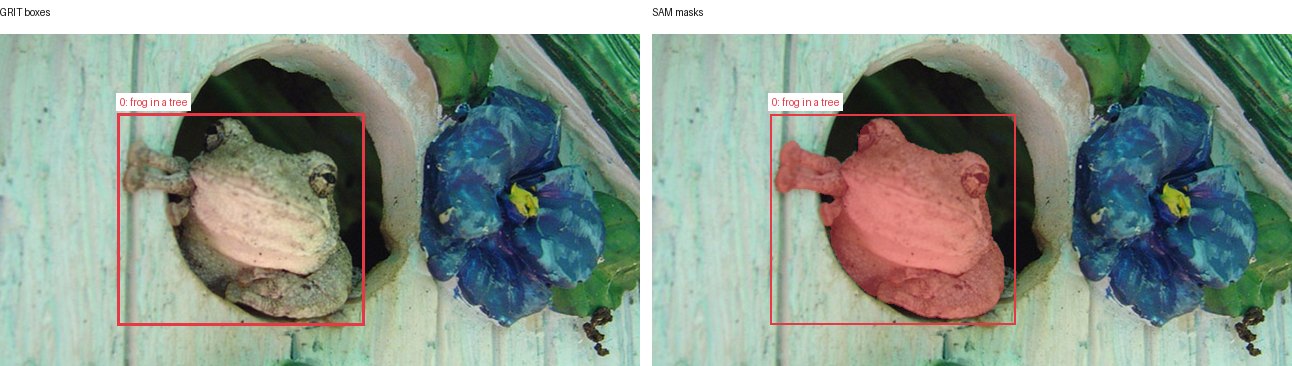 GRIT boxes and SAM masks