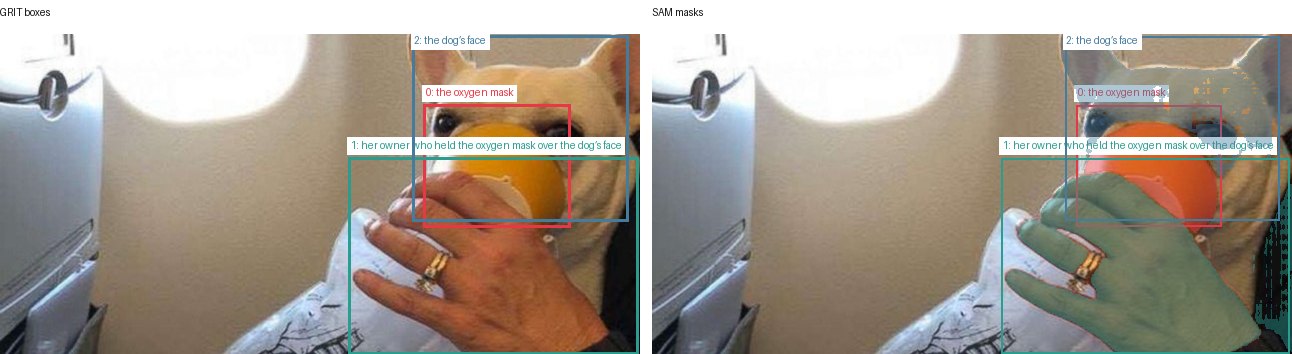 GRIT boxes and SAM masks