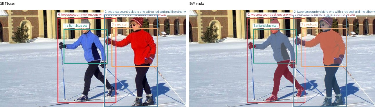 GRIT boxes and SAM masks