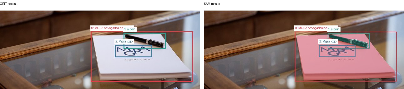 GRIT boxes and SAM masks