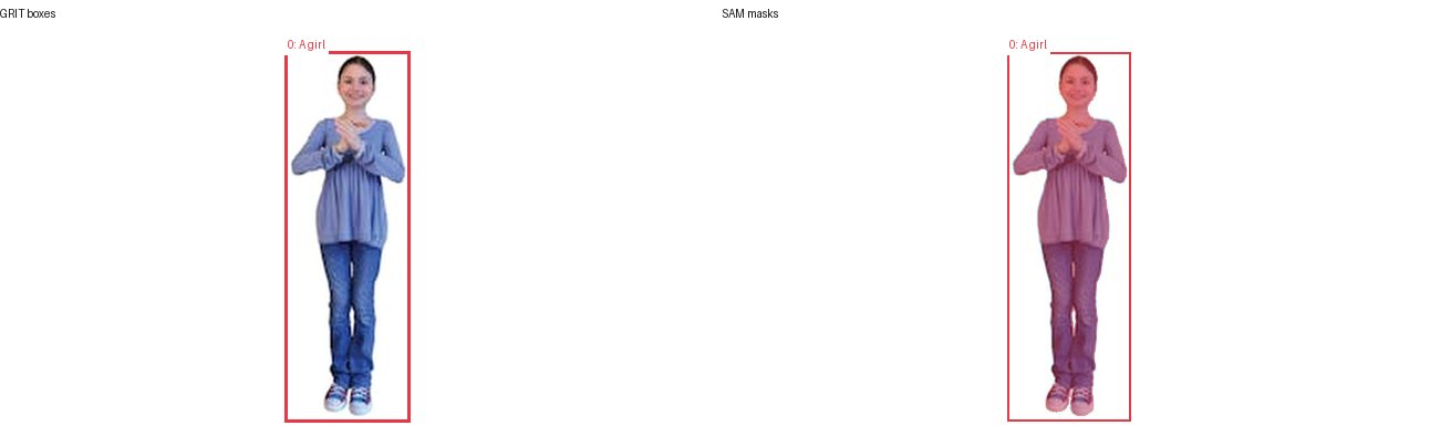 GRIT boxes and SAM masks