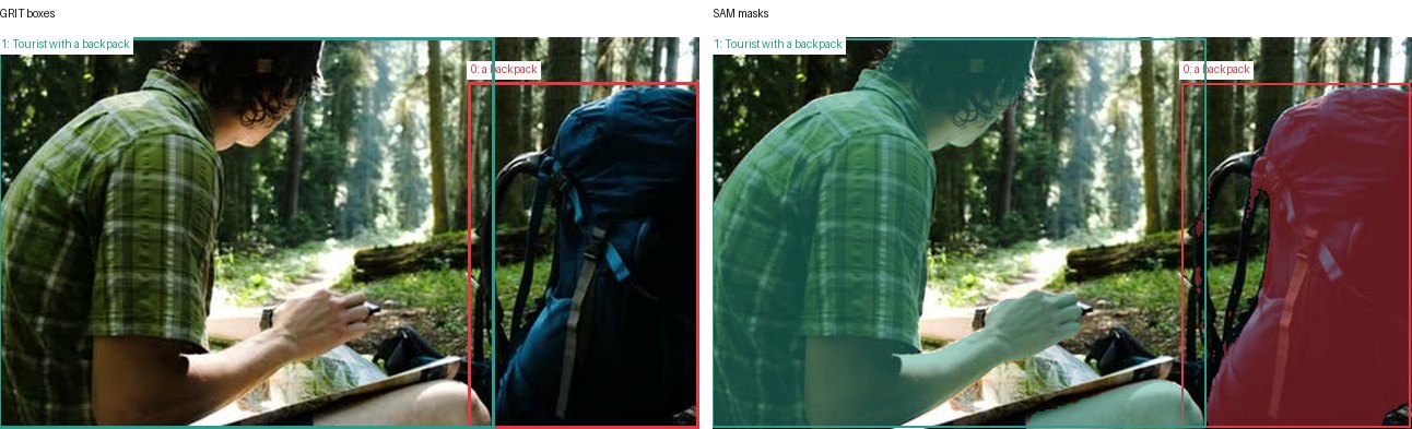 GRIT boxes and SAM masks