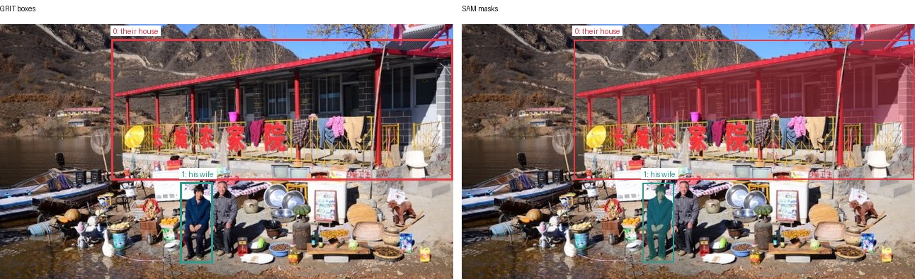 GRIT boxes and SAM masks