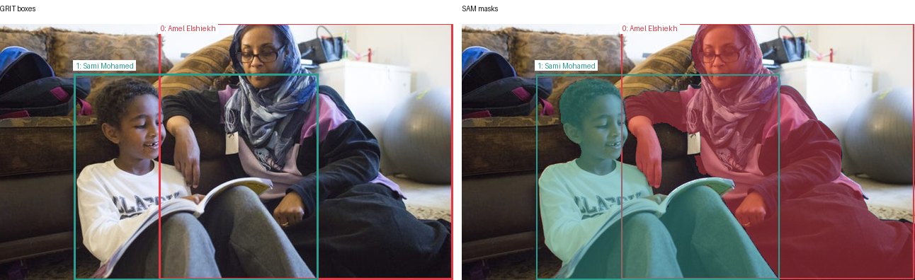 GRIT boxes and SAM masks