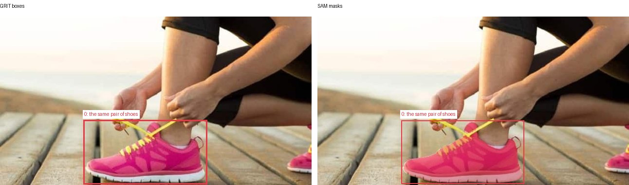 GRIT boxes and SAM masks
