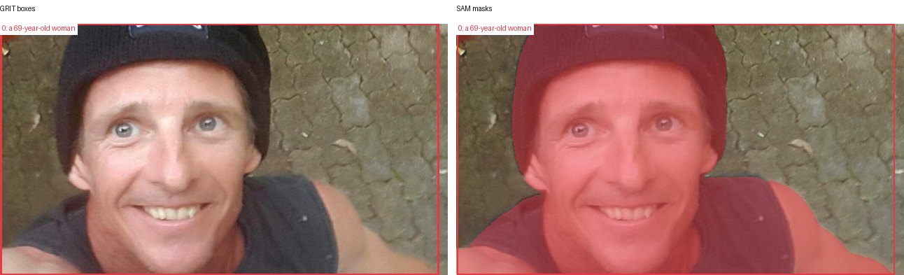 GRIT boxes and SAM masks