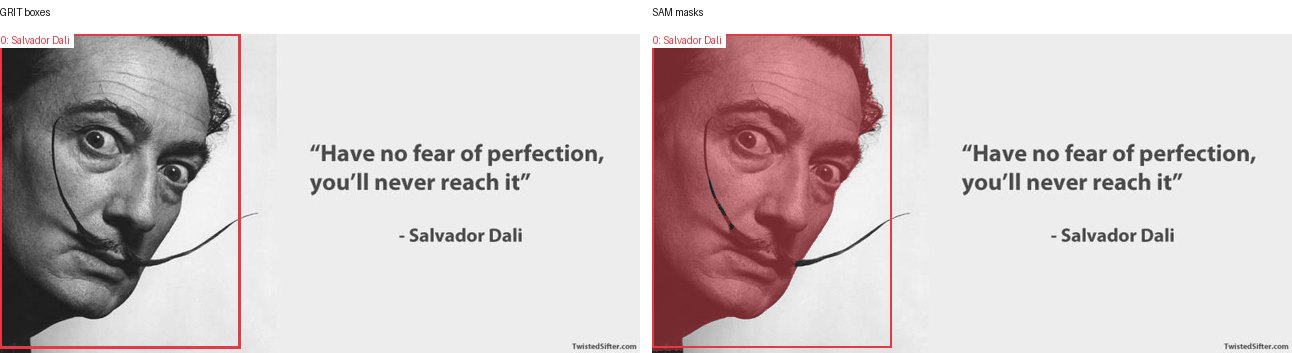 GRIT boxes and SAM masks