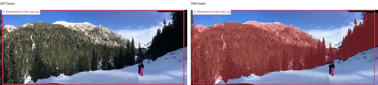 GRIT boxes and SAM masks